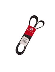 Correia V - Gates - 9581