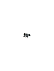 Regulador Voltagem - Bosch - F00M145873
