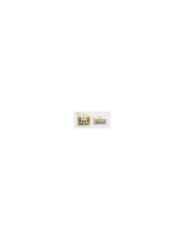 Modulo Pronnect Com Antiesmagamento - Positron - 012486010