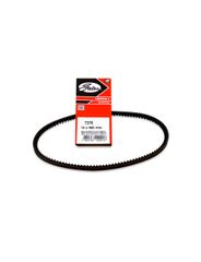 Correia V - Gates - 7378