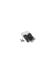 Chicote - Rainha - ETE8532
