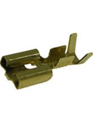 Terminal Fio - Rainha - ETE7020A
