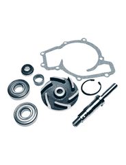 Reparo Bomba Agua - Vetore - VBA561RL