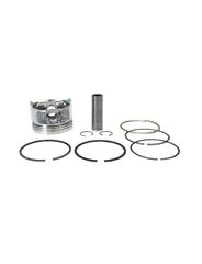 Pistao C/ Aneis 0,25 - Metal Leve - PA9170025