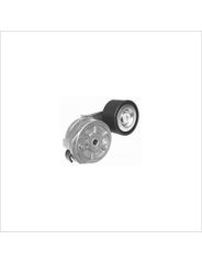 Tensor Da Correia Altern - Skf - VKM4783