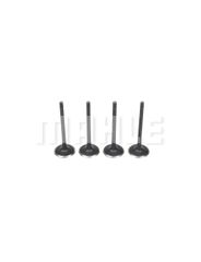 Valvula Admissao - Metal Leve - VA0521670