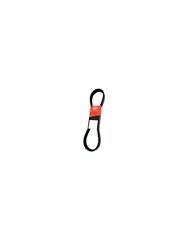 Correia V - Gates - 9676