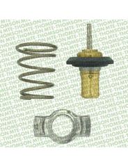 Valvula Termostatica - Mte - VT244/87