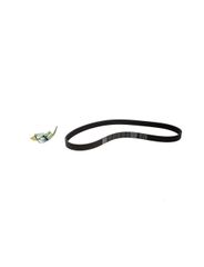 Correia Dentada - Gm - 24579052